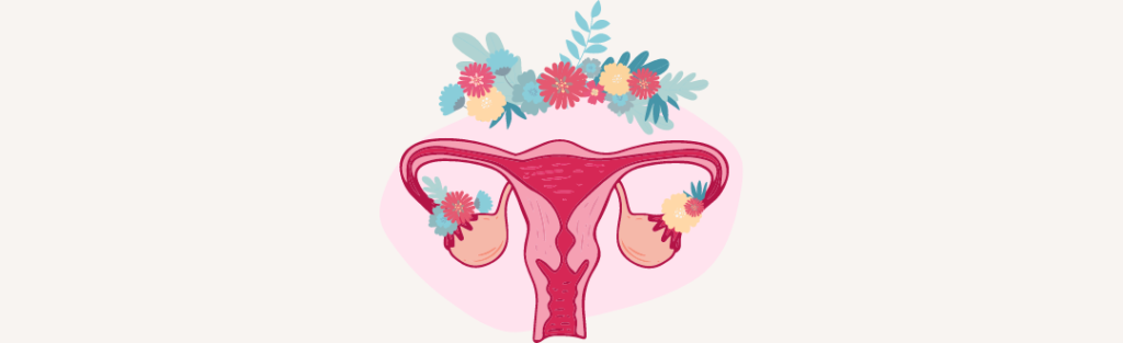 comprendre son cycle menstruel