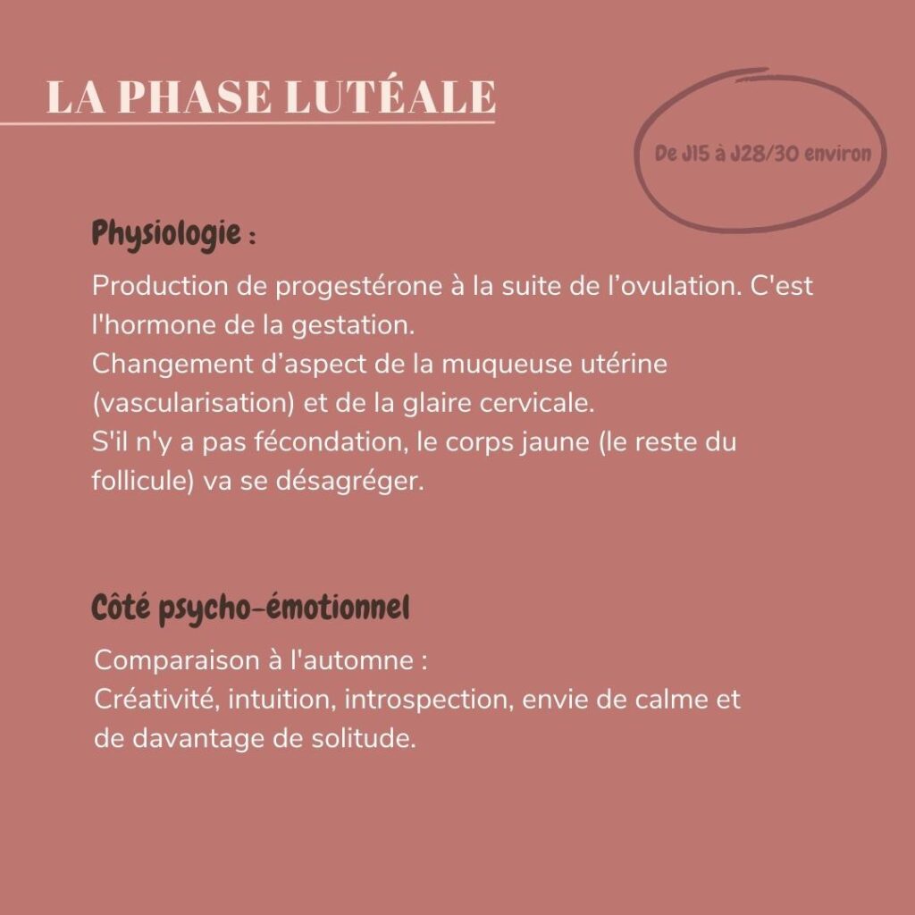 physiologie de la phase lutéale